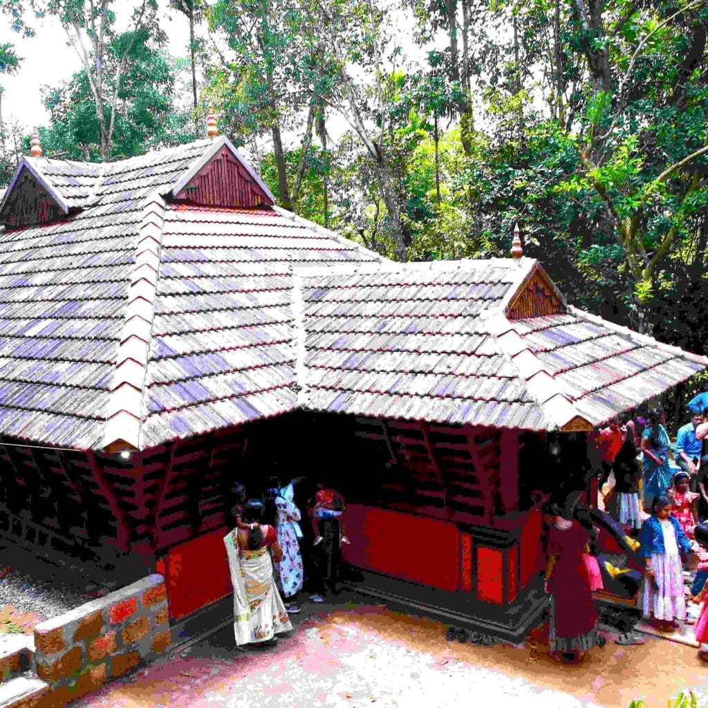 Students practicing traditional martial arts during a kalaripayattu training kerala session at Kadathanadan Kalari Foundation.